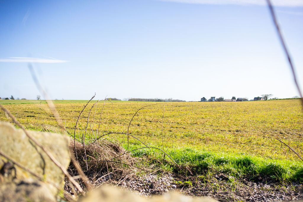 Upholland Road Billinge
